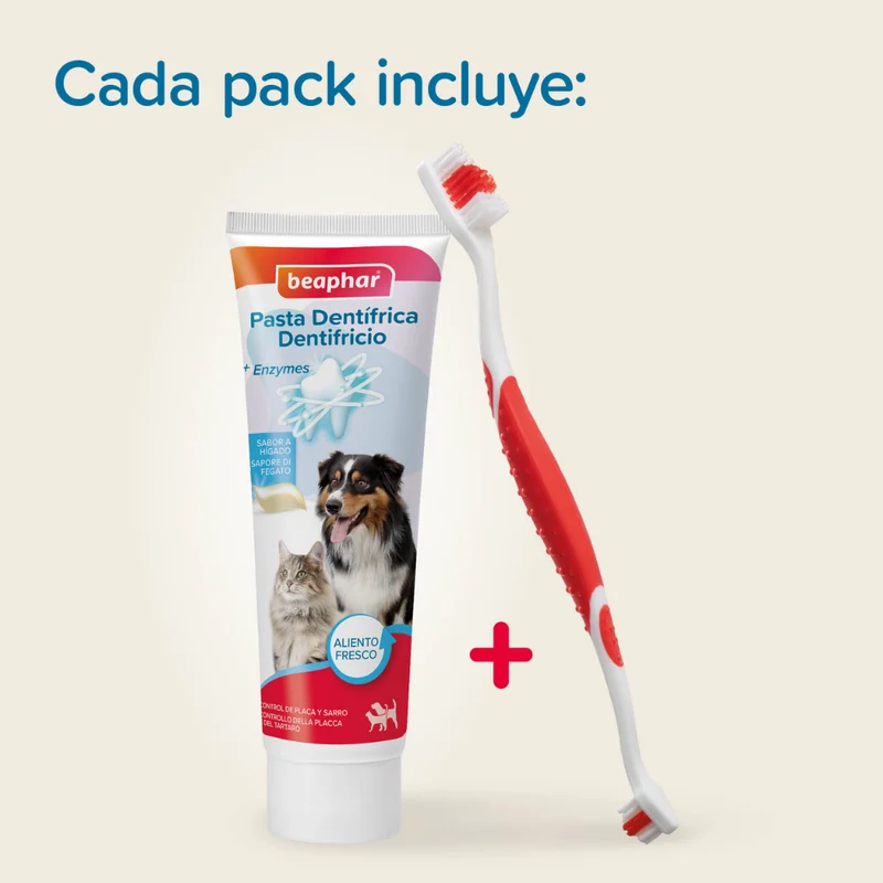 Beaphar Pack Cepillo Dental y Pasta Dentífrica 100 g para Perros y Gatos