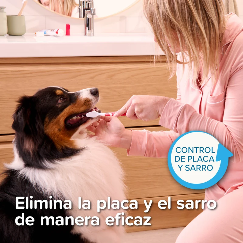 Beaphar Pack Cepillo Dental y Pasta Dentífrica 100 g para Perros y Gatos