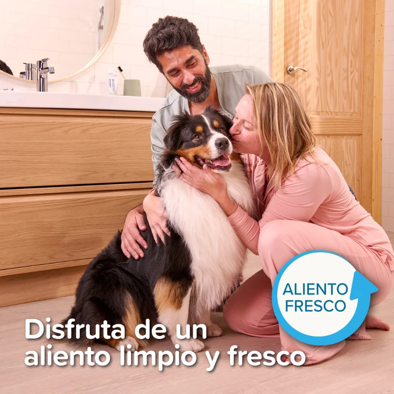 Beaphar Pack Cepillo Dental y Pasta Dentífrica 100 g para Perros y Gatos