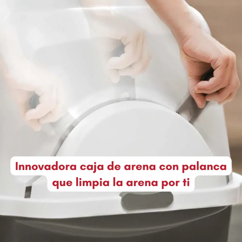 ARENERO AUTOLIMPIABLE AUTOMÁTICO SMARTSIFT CATIT