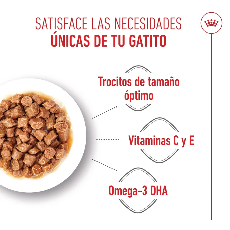 Royal Canin Kitten Húmedo 85 g para Gatos | Salsa, Gelatina o Paté