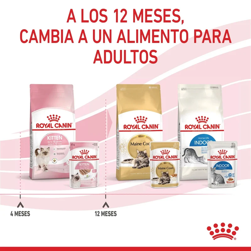 Royal Canin Kitten Húmedo 85 g para Gatos | Salsa, Gelatina o Paté