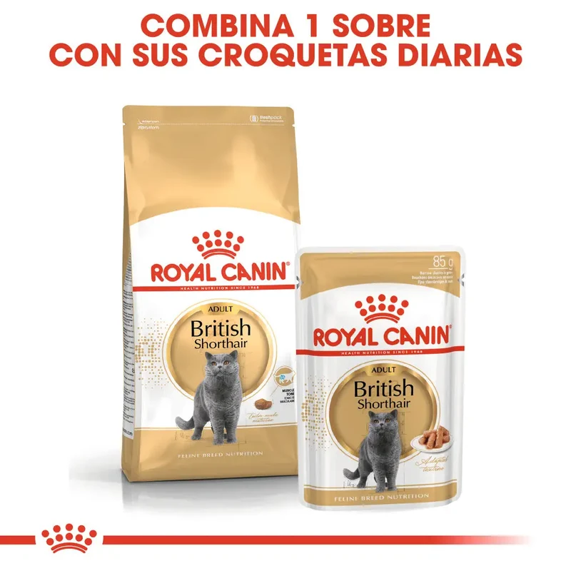 Royal Canin British Shorthair 2 kg Pienso para Gatos