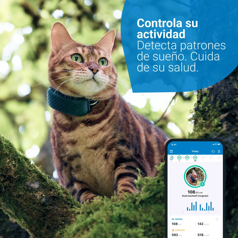 GPS RASTREADOR DE ACTIVIDAD PARA GATOS