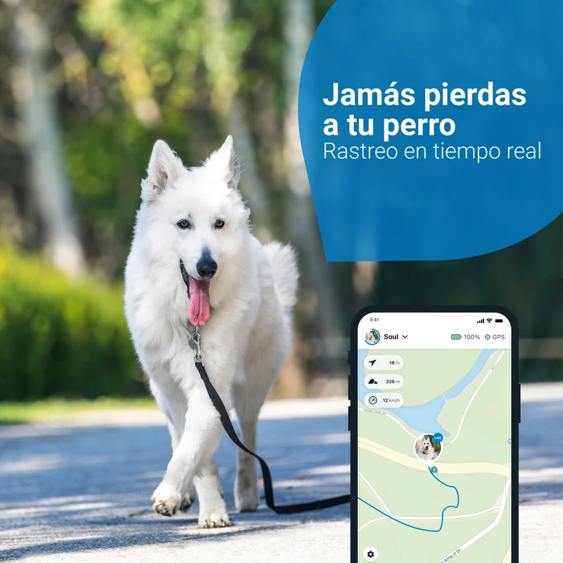 GPS RASTREADOR DE ACTIVIDAD PARA PERROS