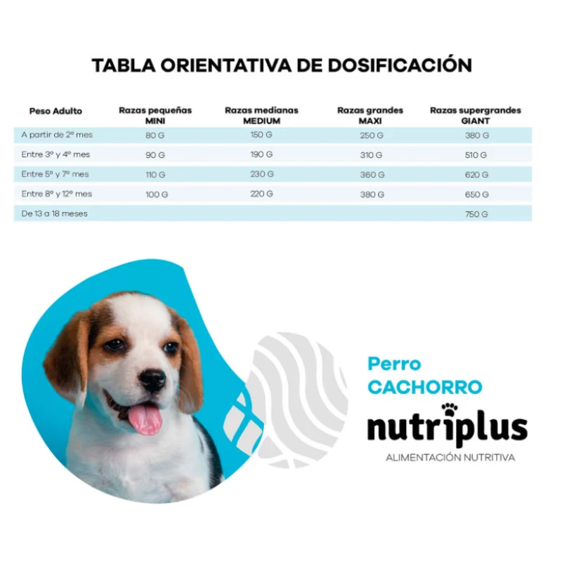 NUTRIPLUS PERROS CACHORRO