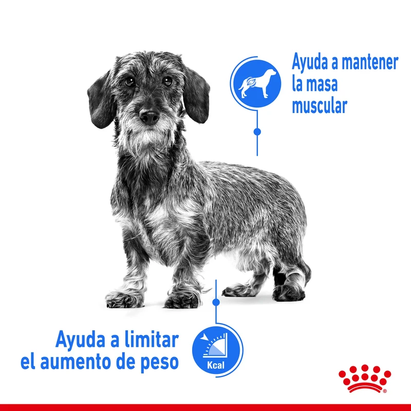 Royal Canin Mini Light Weight Care Pienso para Perros