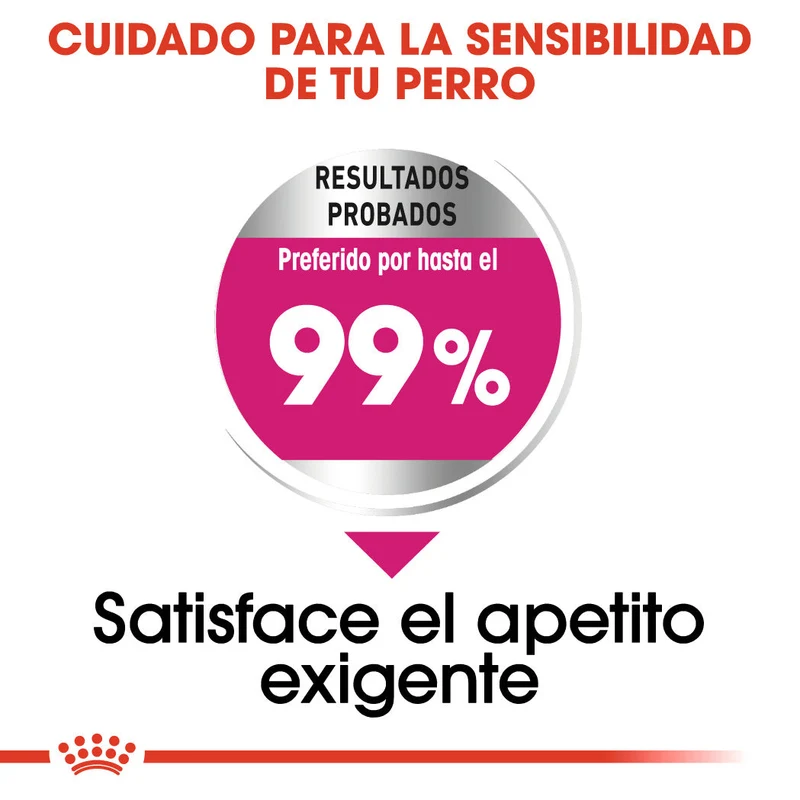Royal Canin Mini Exigent Care Pienso para Perros
