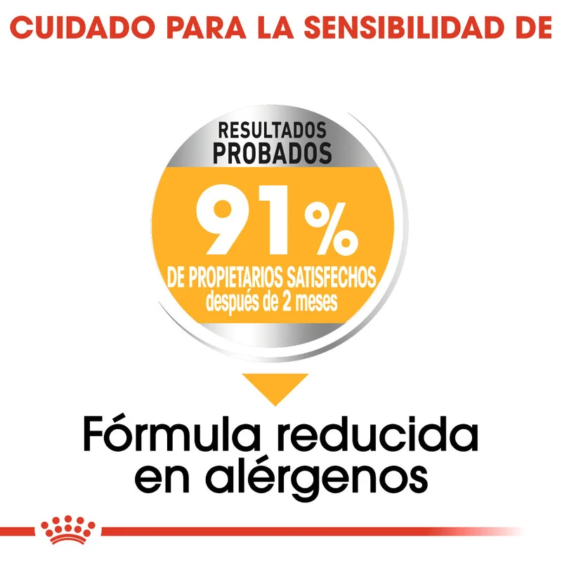 Royal Canin Mini Dermacomfort Care Pienso para Perros