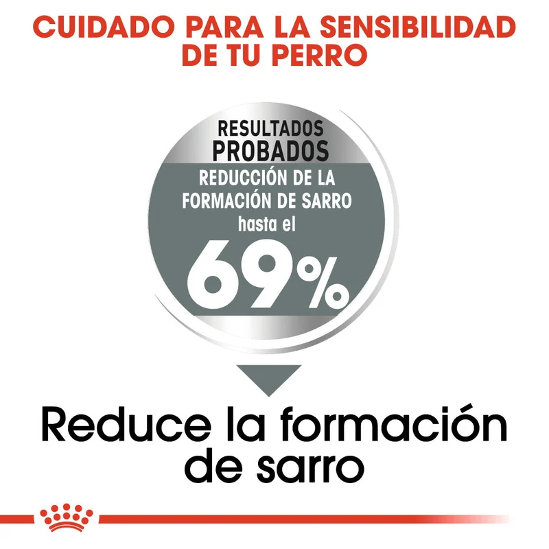 Royal Canin Mini Dental Care Pienso para Perros