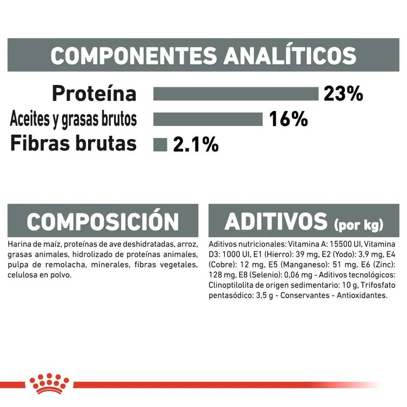 Royal Canin Mini Dental Care Pienso para Perros
