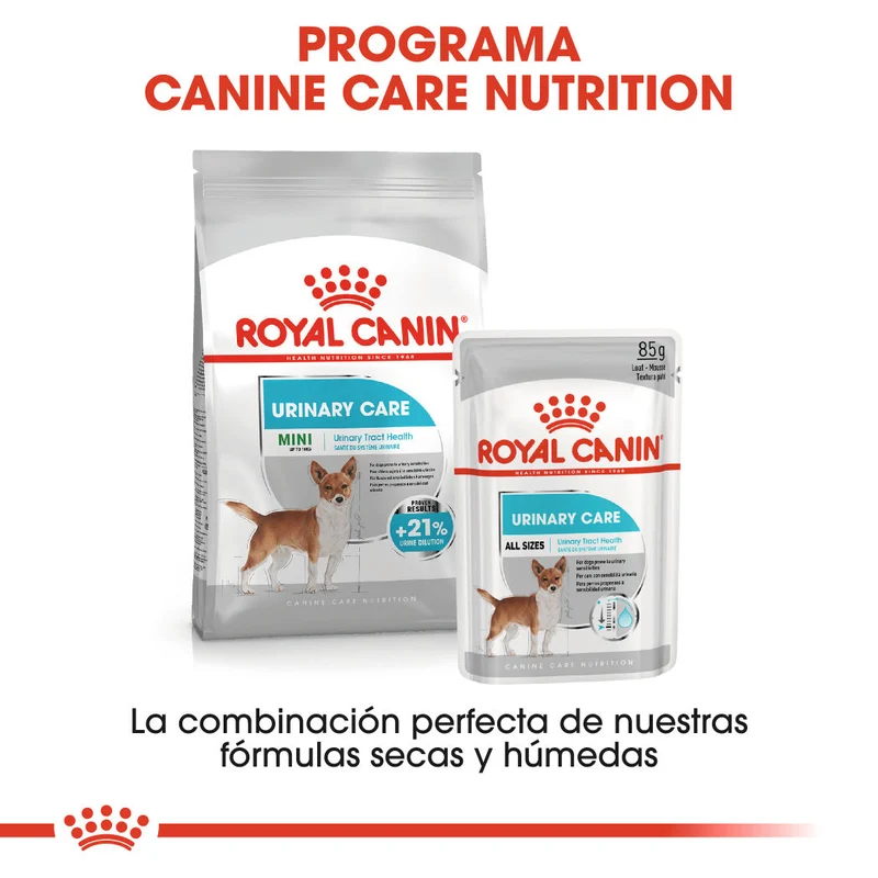 Royal Canin Mini Urinary Care Pienso para Perros