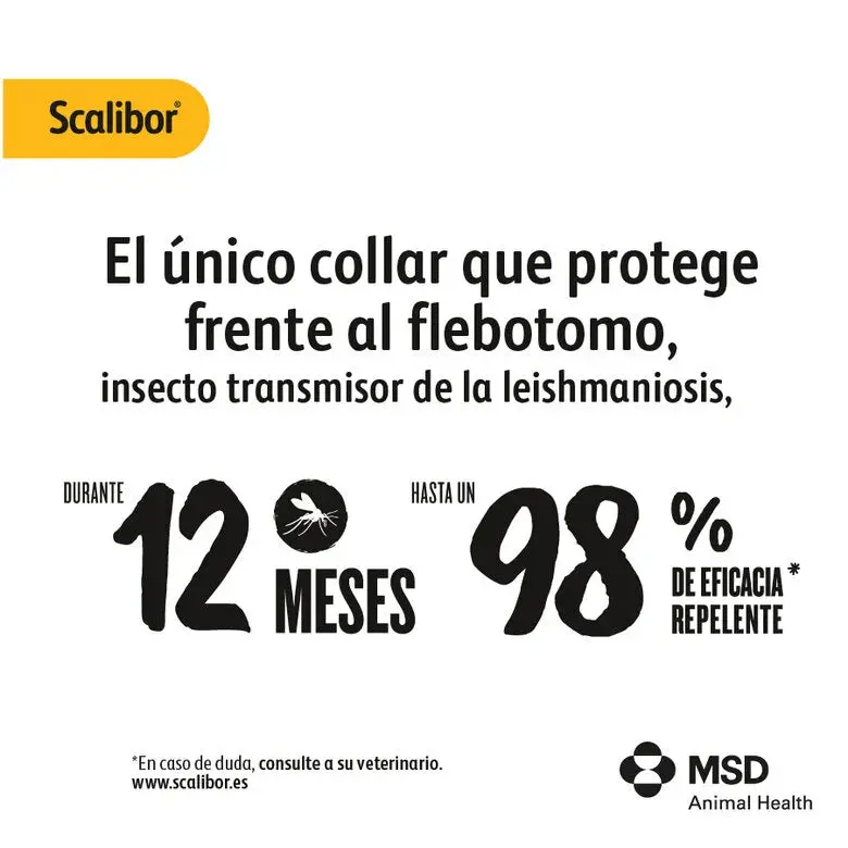 Scalibor Collar Antiparasitario para Perros | 12 Meses de Protección | Mosquitos, Pulgas y Garrapatas