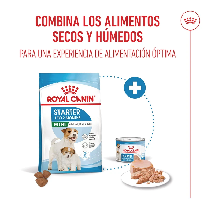 Royal Canin Mini Starter Mother & Babydog Pienso para Cachorros y Madres Lactantes