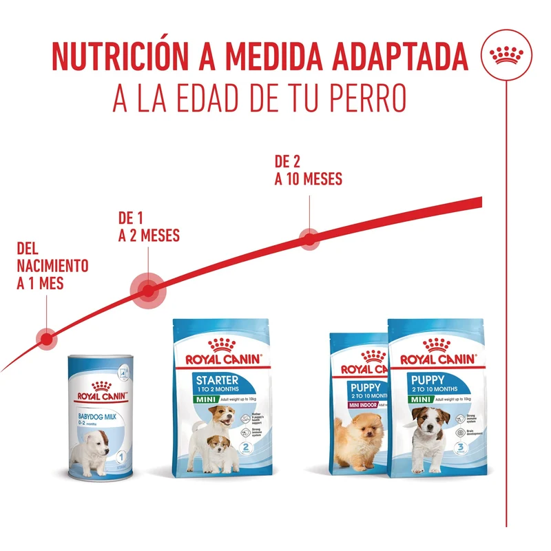 Royal Canin Mini Starter Mother & Babydog Pienso para Cachorros y Madres Lactantes