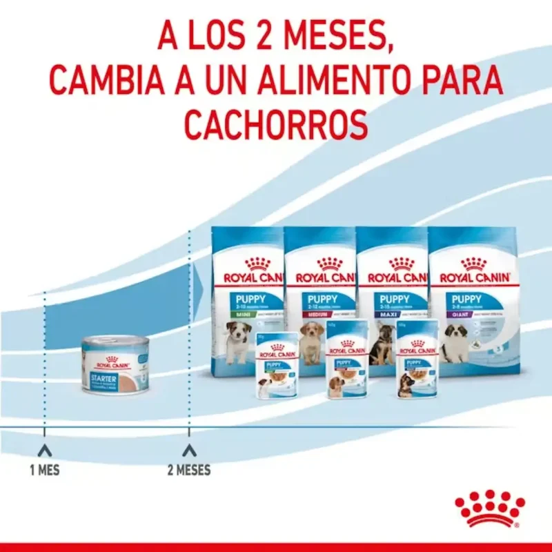 Royal Canin Starter Mousse Lata 195 g húmedo