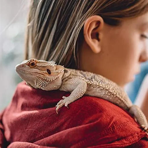 Vetericyn Plus Herida de reptil & cuidado de la piel