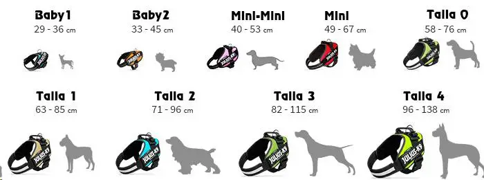 Arnés Idc Julius-K9 Baby 2 Negro 33-45 cm