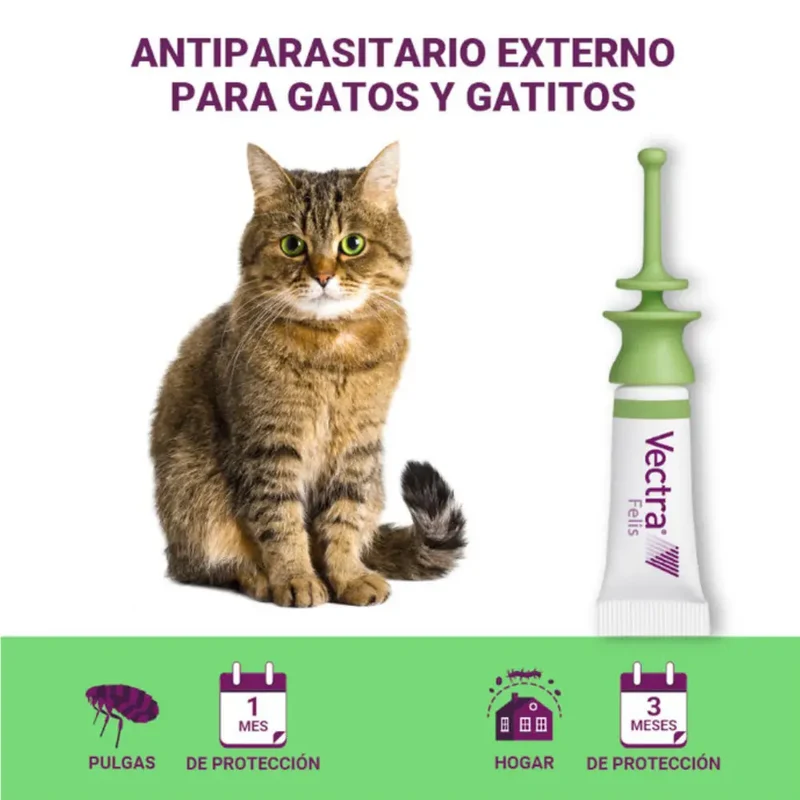 Vectra Felis Pipetas Antiparasitarias para Gatos