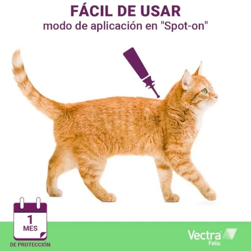 Vectra Felis Pipetas Antiparasitarias para Gatos
