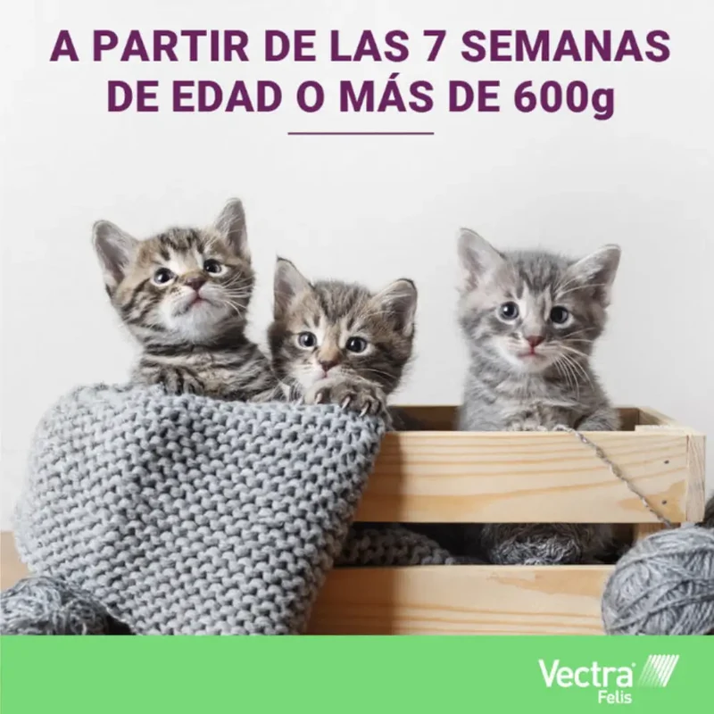 Vectra Felis Pipetas Antiparasitarias para Gatos