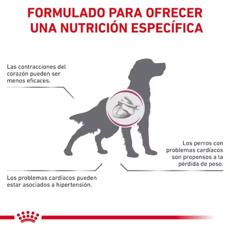 Royal Canin Veterinary Cardiac Ec26 2 kg Perro