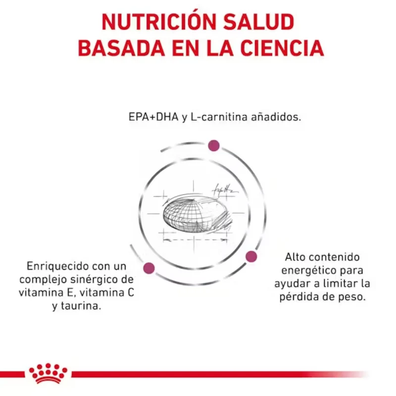 Royal Canin Veterinary Cardiac Ec26 2 kg Perro