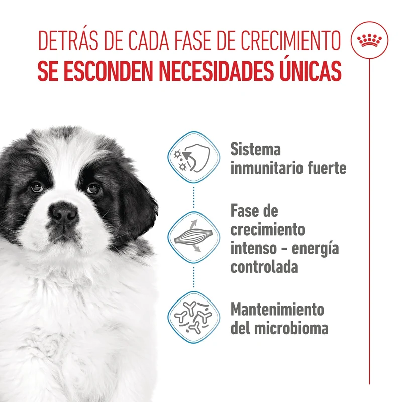 Royal Canin Giant Puppy Pienso para Cachorros de Raza Grande