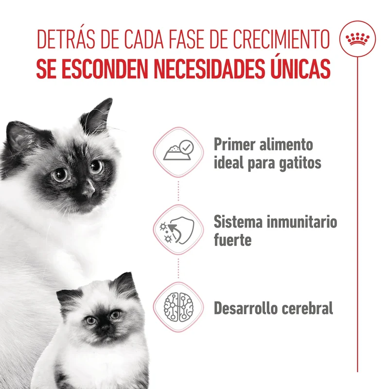 Royal Canin Mother & Babycat 195 g Mousse para Gatitos y Gatas Embarazadas o en Lactancia