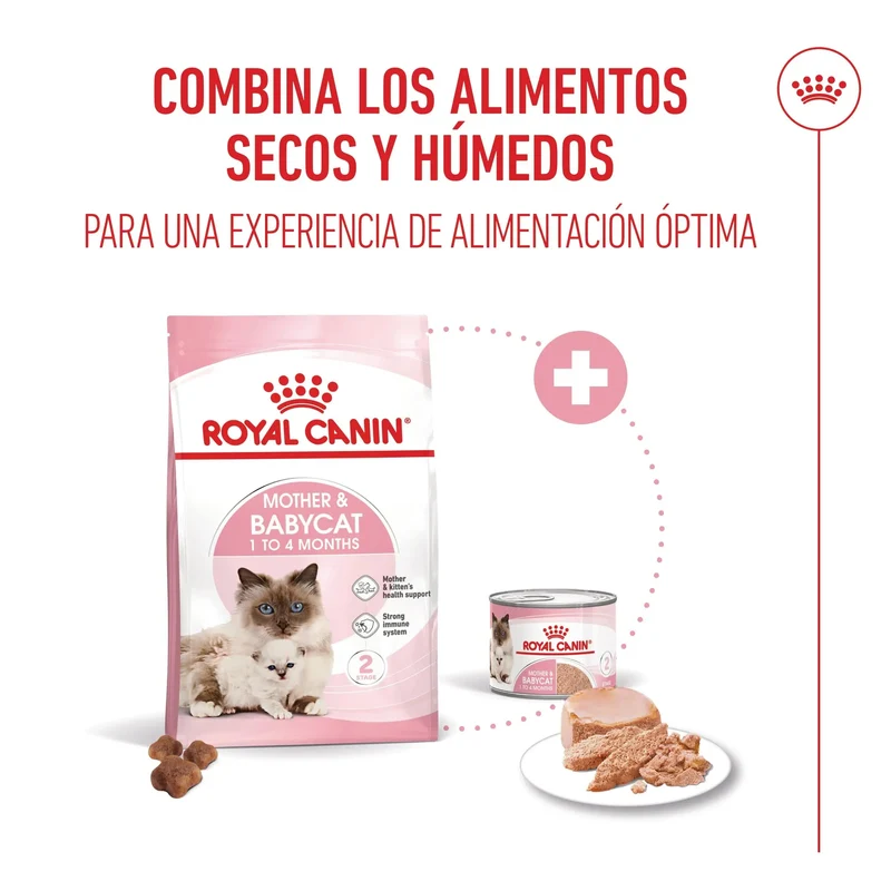 Royal Canin Mother & Babycat 195 g Mousse para Gatitos y Gatas Embarazadas o en Lactancia