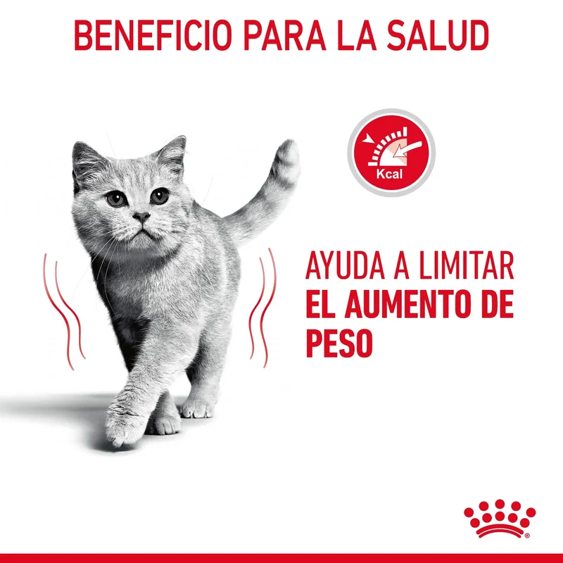 Royal Canin Light Weight Care Finas Láminas en Salsa 85 g Húmedo para Gatos