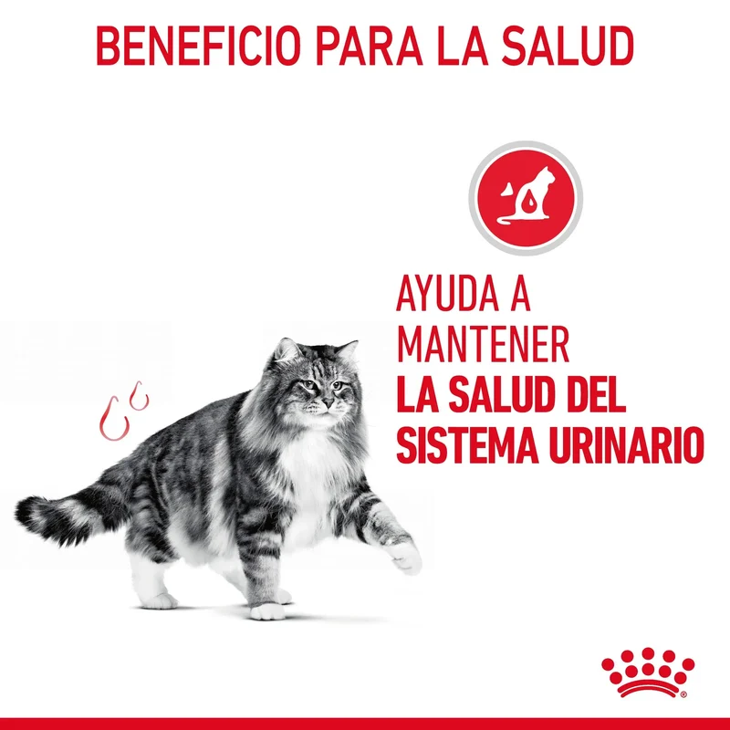Royal Canin Urinary Care 85 g Salsa Comida Húmeda para Gatos