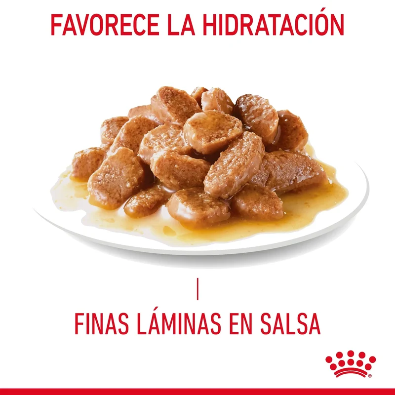 Royal Canin Urinary Care 85 g Salsa Comida Húmeda para Gatos