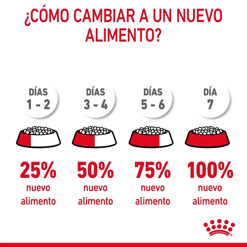 Royal Canin Hairball Care Pienso para Gatos Anti Bolas de Pelo
