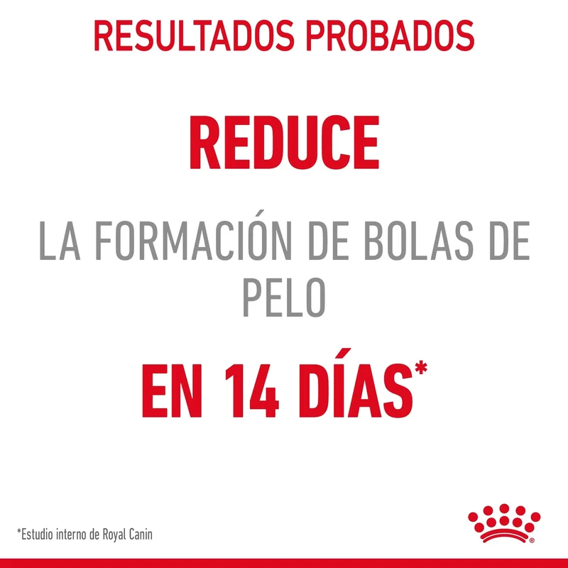 Royal Canin Hairball Care Pienso para Gatos Anti Bolas de Pelo