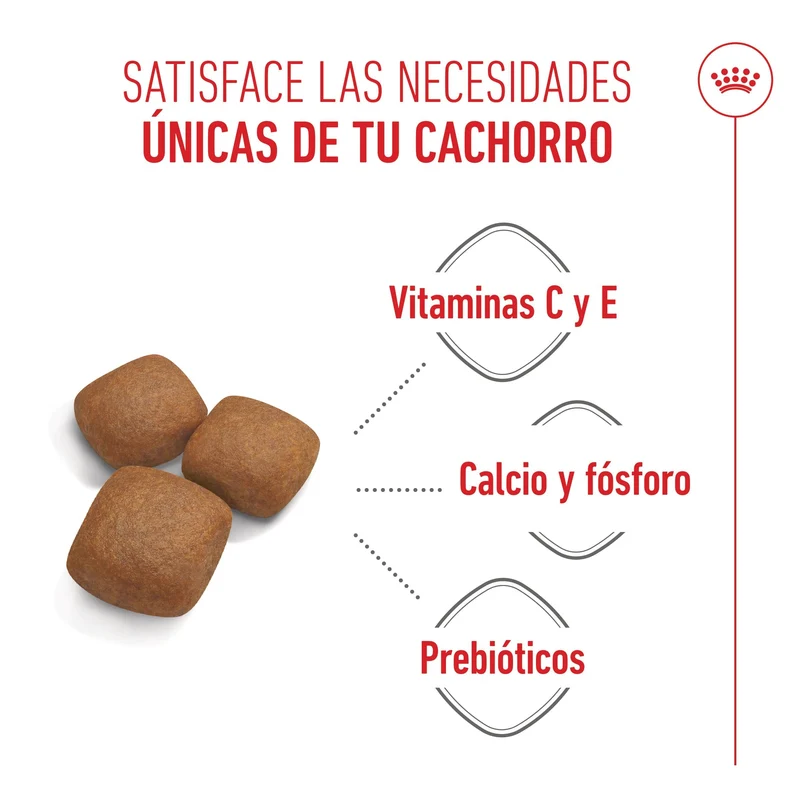 Royal Canin Giant Junior Pienso para Cachorros de Raza Grande