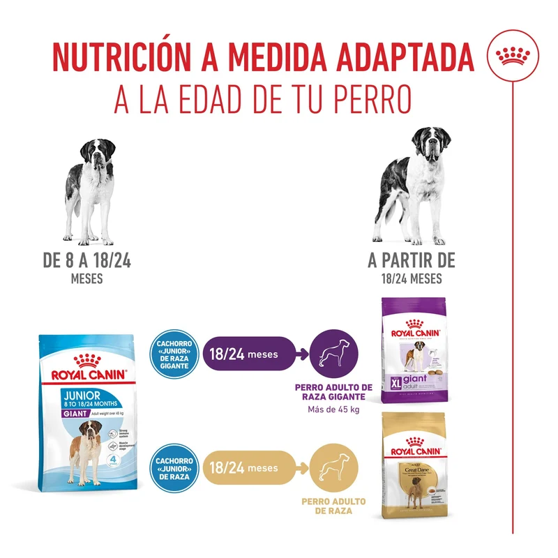 Royal Canin Giant Junior Pienso para Cachorros de Raza Grande