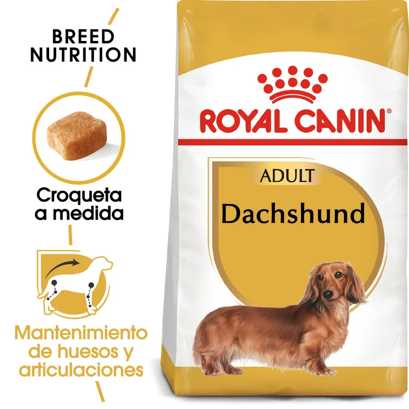 Royal Canin Teckel Dachsund Adulto Pienso para Perros de Raza Salchicha