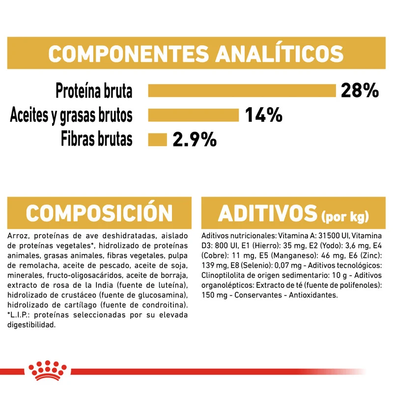 Royal Canin Teckel Dachsund Adulto Pienso para Perros de Raza Salchicha