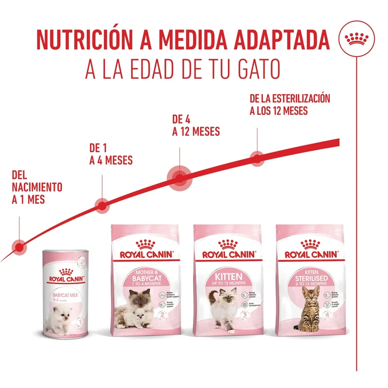 Royal Canin Kitten Pienso para Gatitos