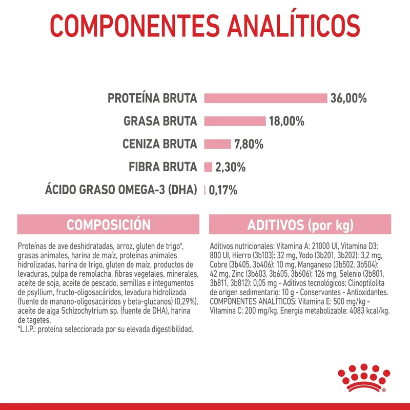 Royal Canin Kitten Pienso para Gatitos