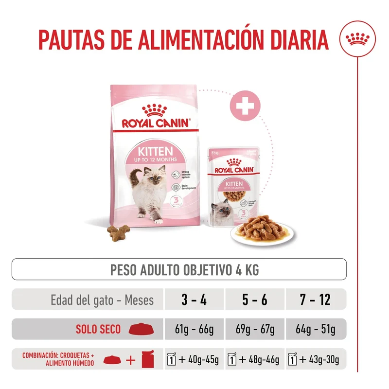 Royal Canin Kitten Pienso para Gatitos