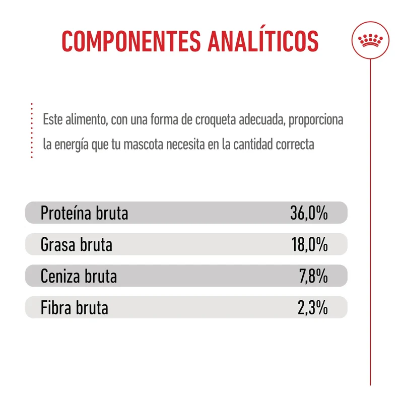 Royal Canin Kitten Pienso para Gatitos