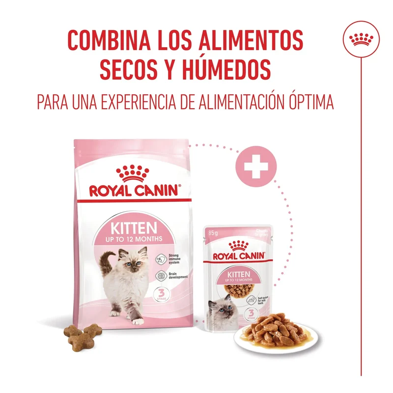 Royal Canin Kitten Pienso para Gatitos