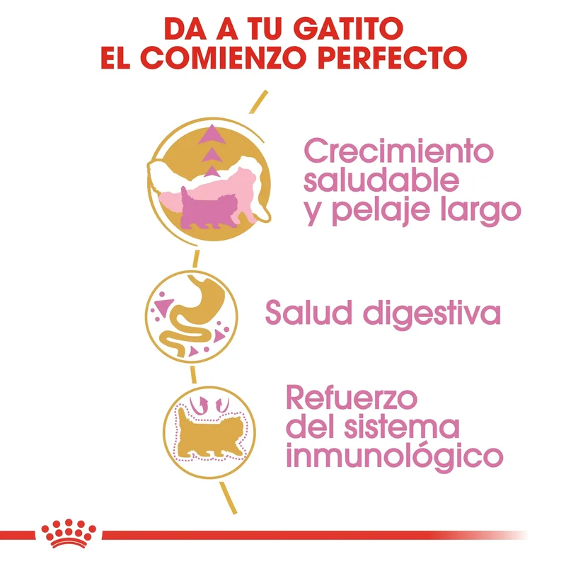 Royal Canin Kitten Persian Pienso Seco para Gatitos Persas