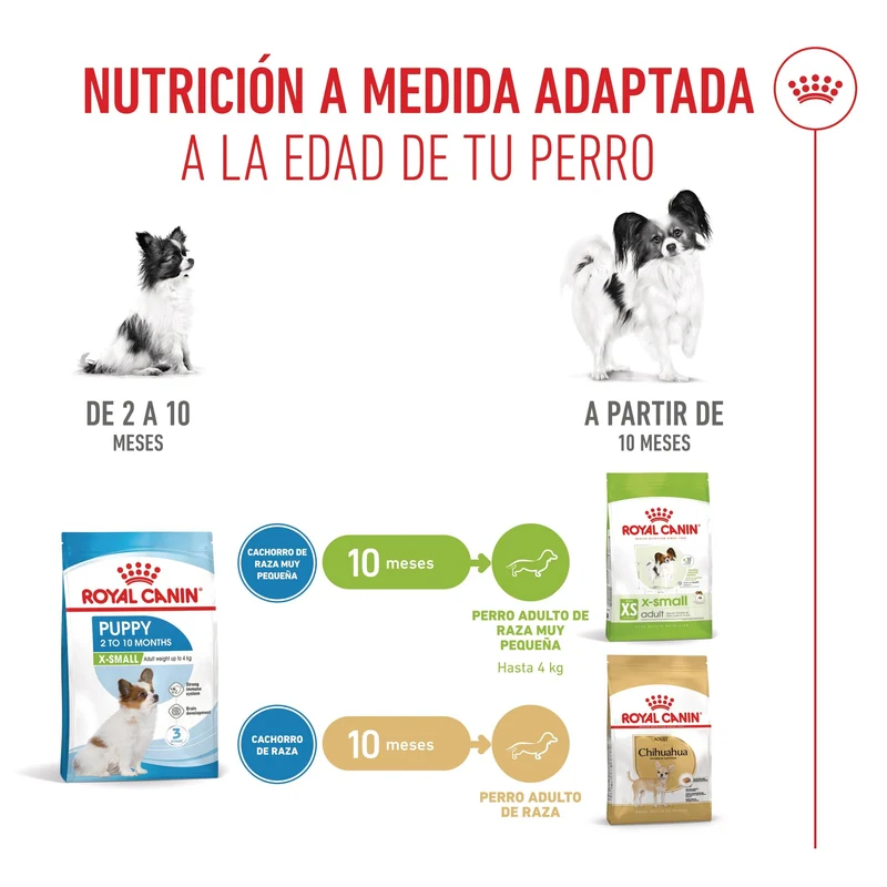 Royal Canin X-Small Puppy Pienso para Cachorros