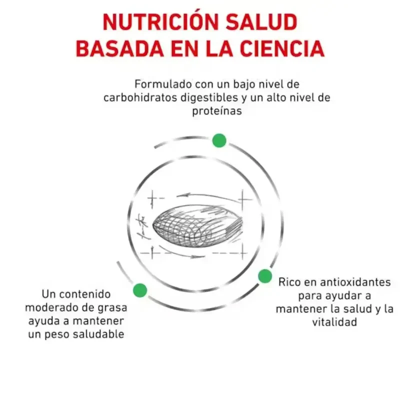 Royal Canin Veterinary Diabetic 12 kg Pienso para Perros Diabéticos