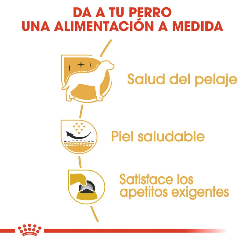 Royal Canin West Highland White Terrier Adulto Pienso para Perros de Raza