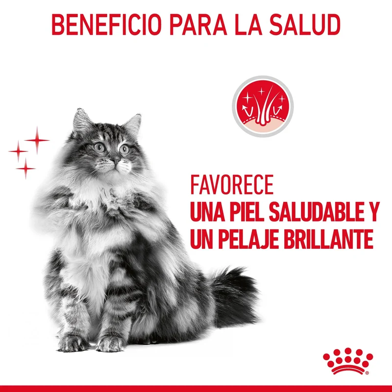 Royal Canin Hair & Skin Care Finas Láminas en Salsa 85 g Húmedo para Gatos