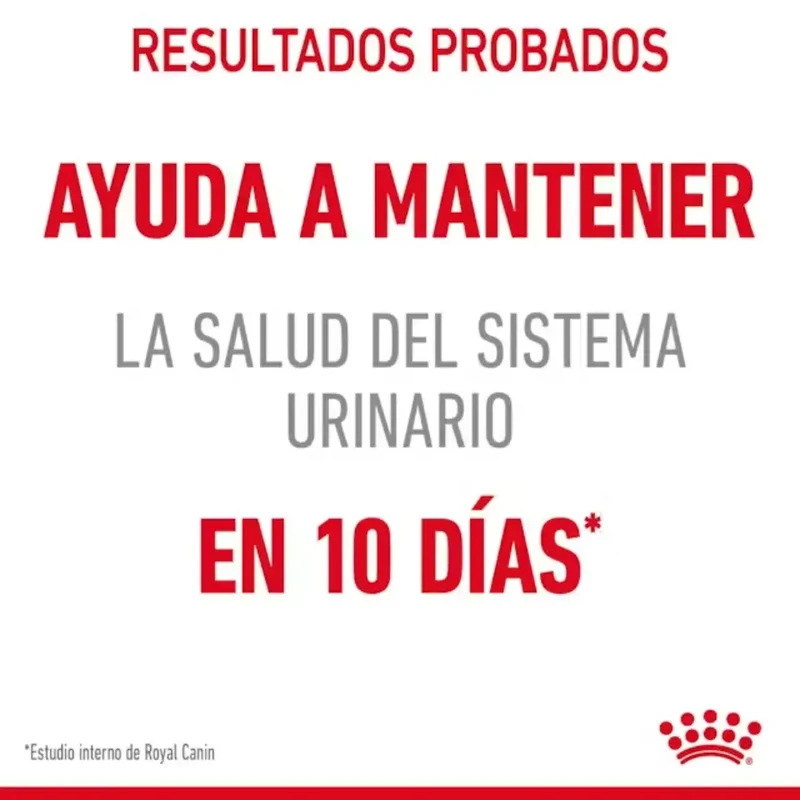Royal Canin Urinary Care Pienso para Gatos